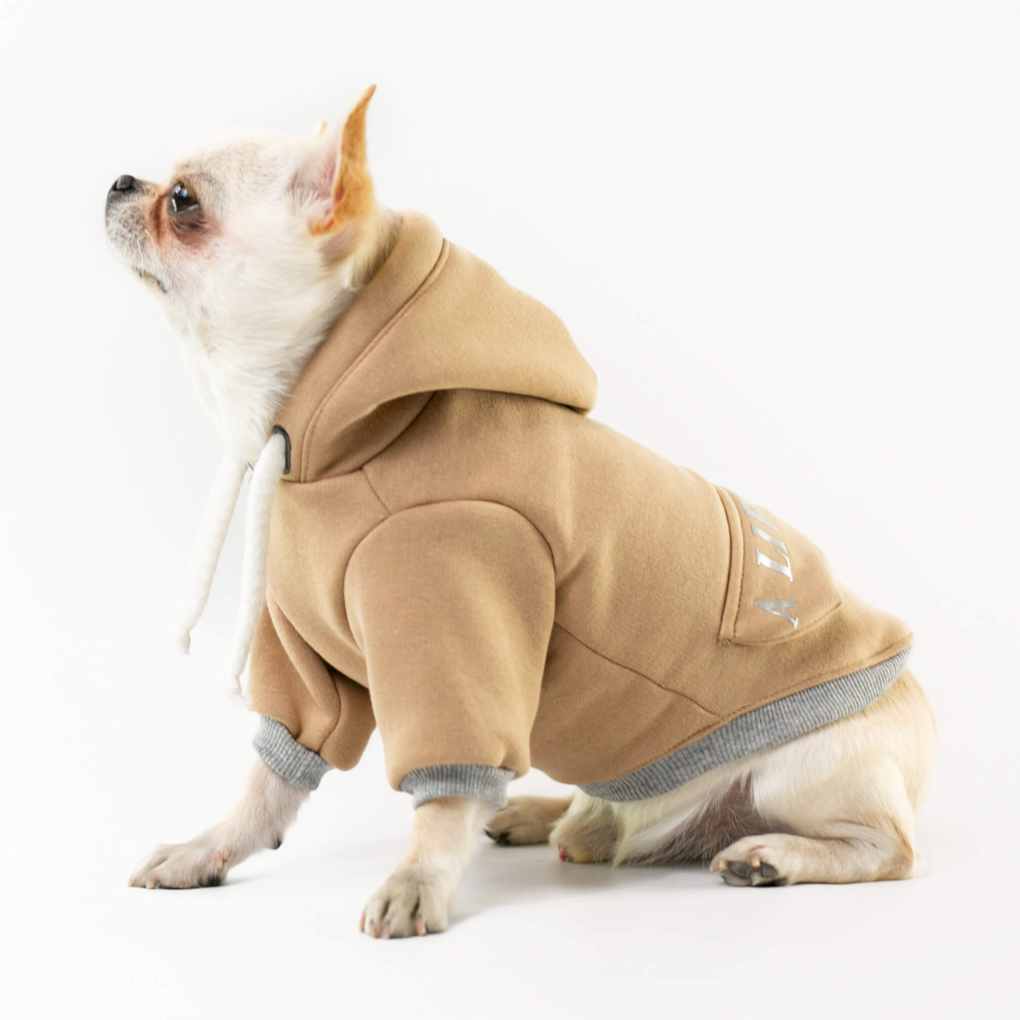Style Pets - одяг для котів оптом