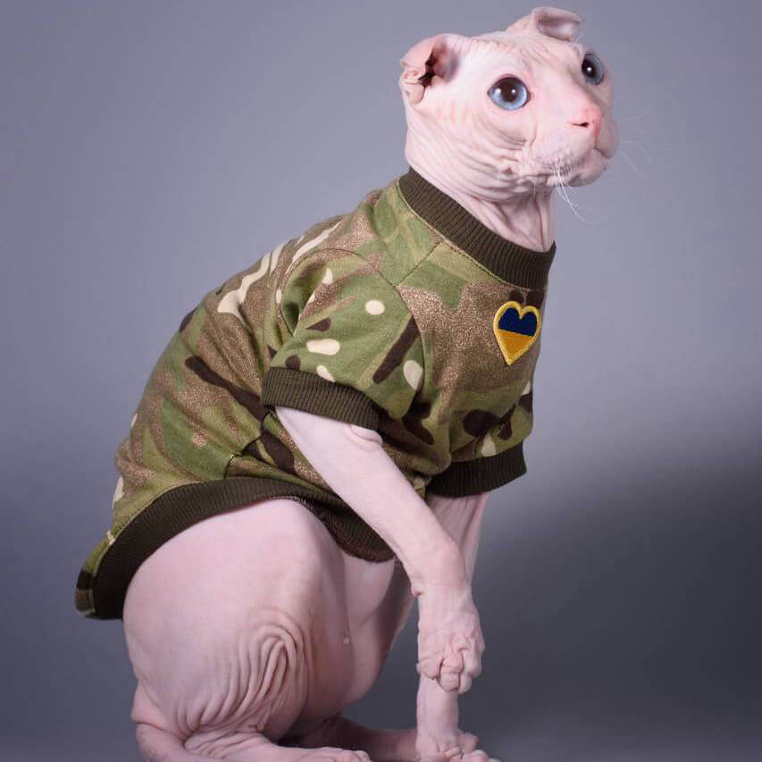Style Pets - одяг для котів оптом